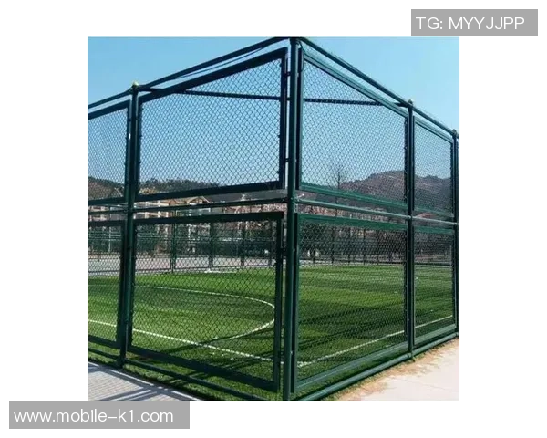 足球场围网安装全攻略提升场地安全与美观的最佳选择